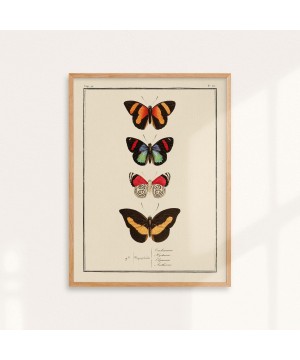 Affiche quatre papillons